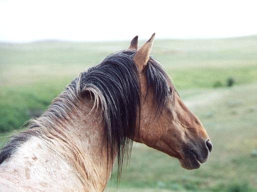 image042.jpg